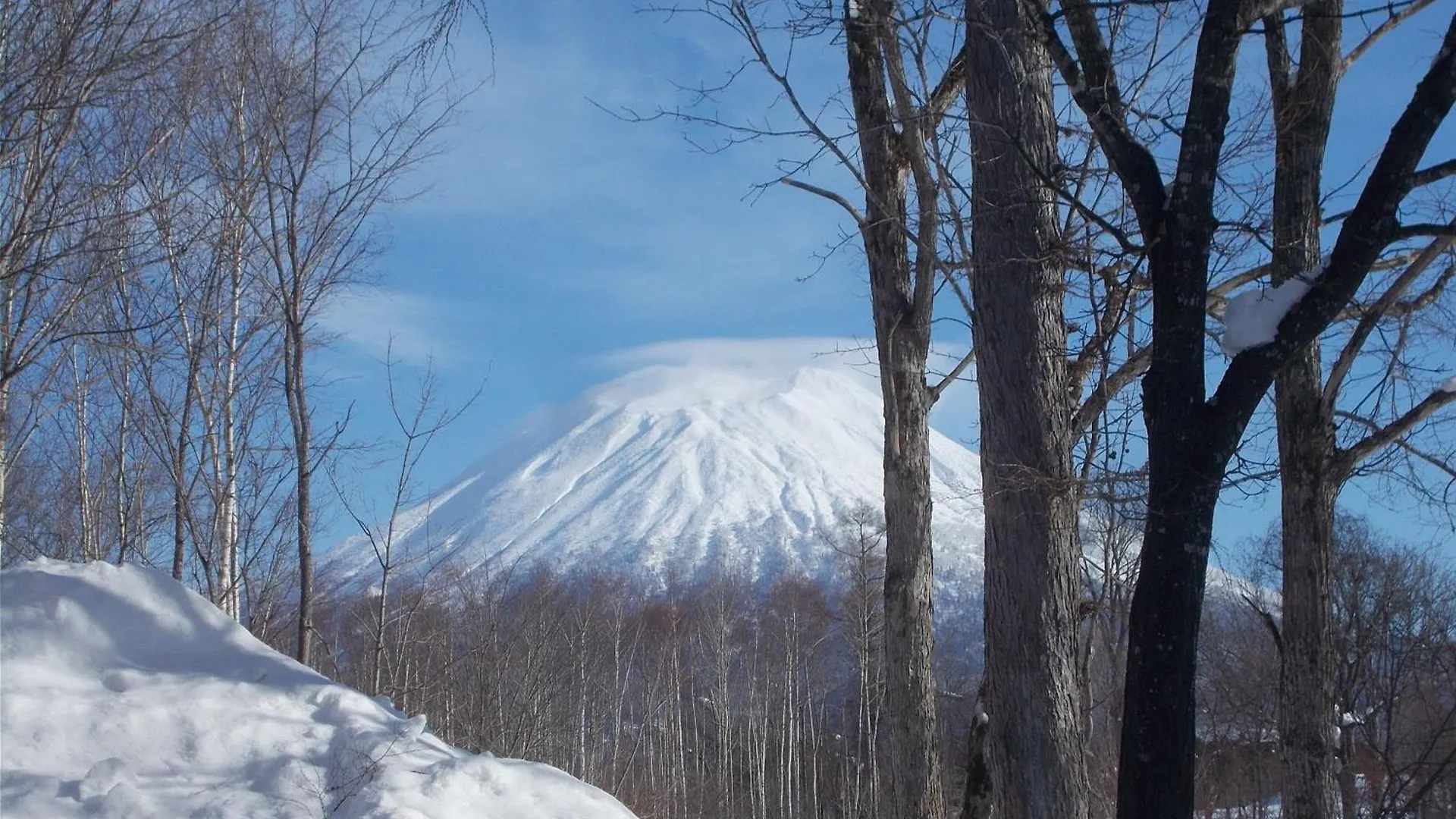 Lodge Niseko Shirokuma Cottage
